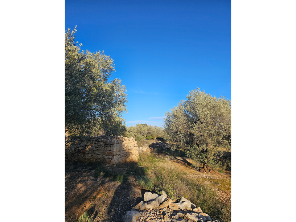 Finca i San Rafael Del Rio, Castellon - foto 4